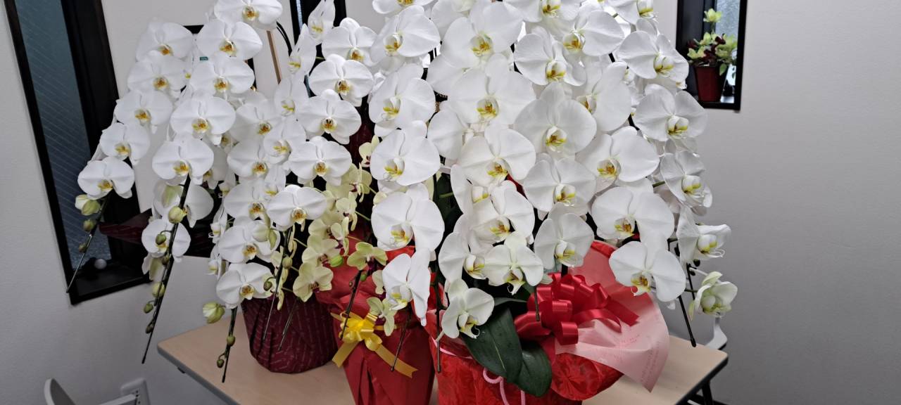 2024年もよろしくお願いいたします。