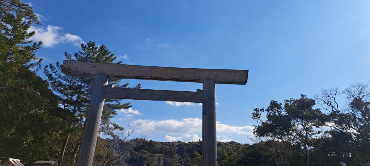 ２月に入りました